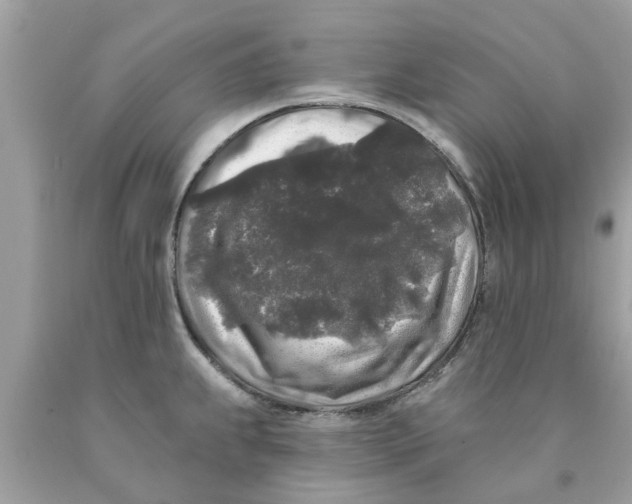 X0000089881239200707262203