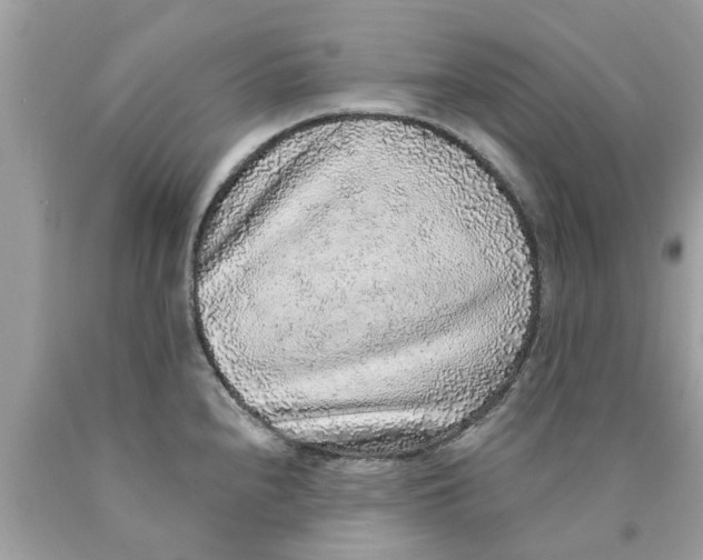 X0000089881240200707262203