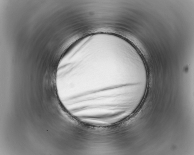 X0000089881241200707262203