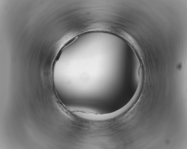 X0000089881242200707262203