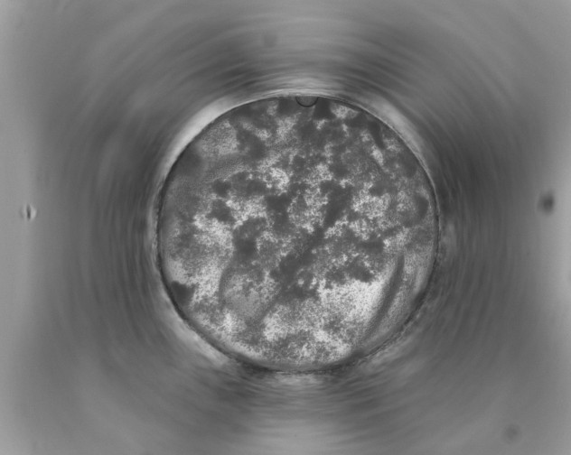 X0000089881243200707262203