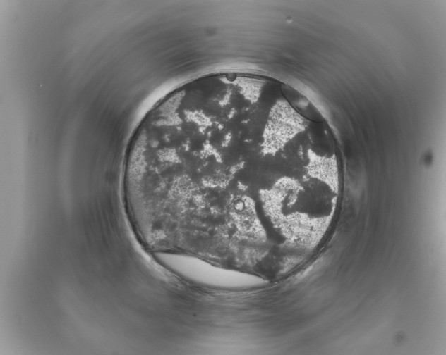 X0000089881245200707262203