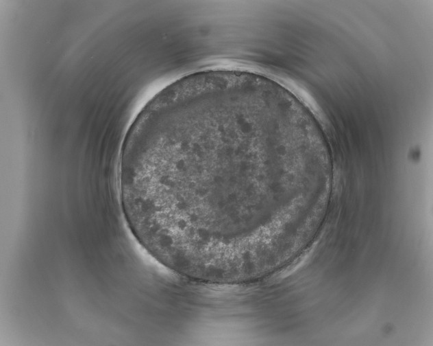 X0000089881247200707262203