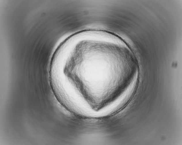 X0000089881248200707262203