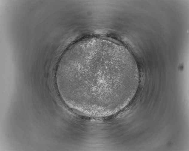 X0000089881249200707262203