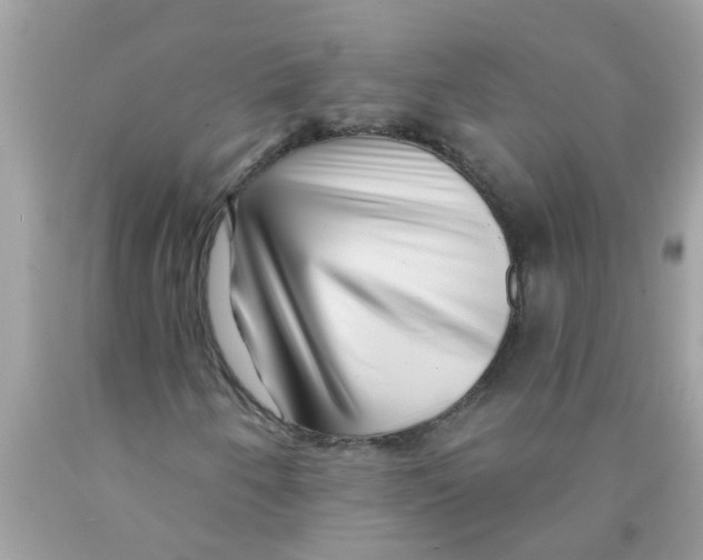 X0000089881250200707262203