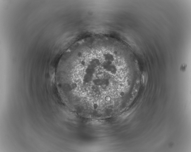 X0000089881251200707262203