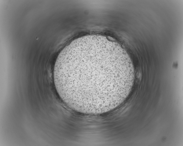 X0000089881252200707262203