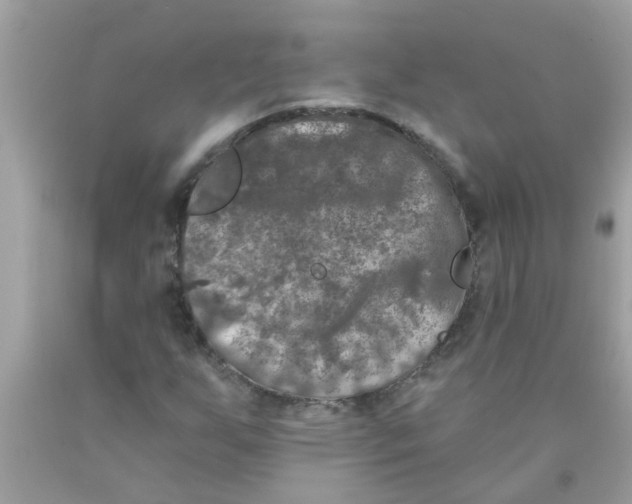 X0000089881255200707262203