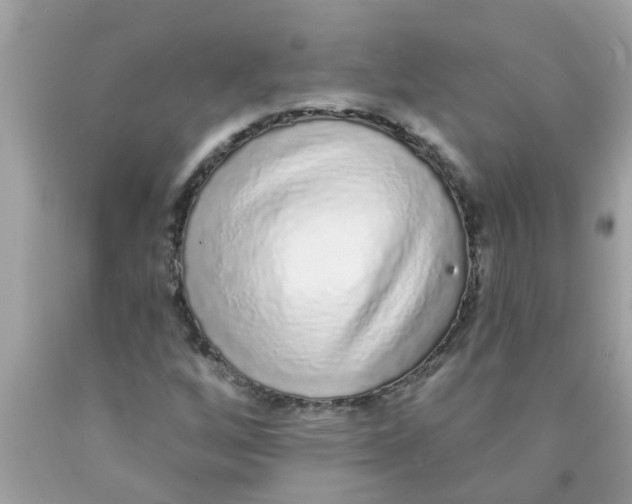 X0000089881256200707262203