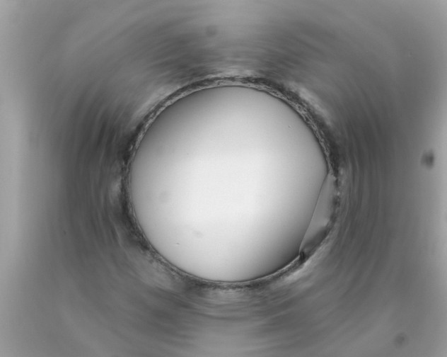 X0000089881257200707262203