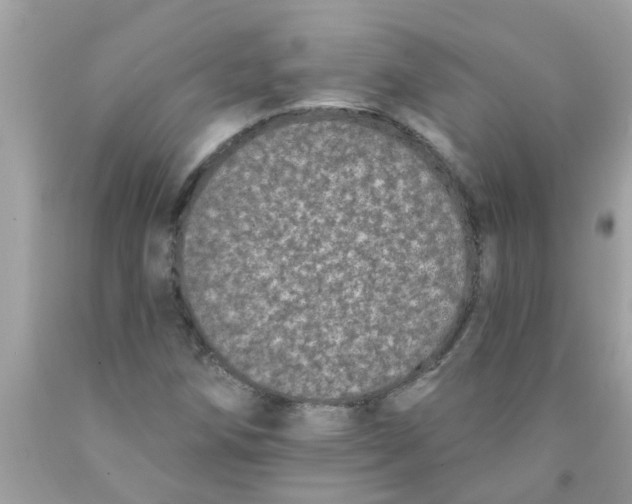 X0000089881258200707262203