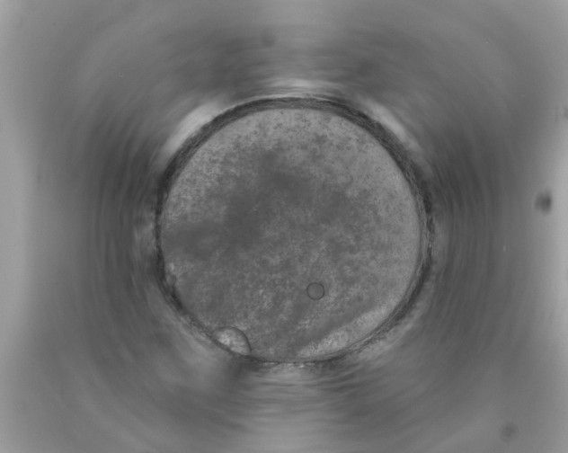 X0000089881259200707262203