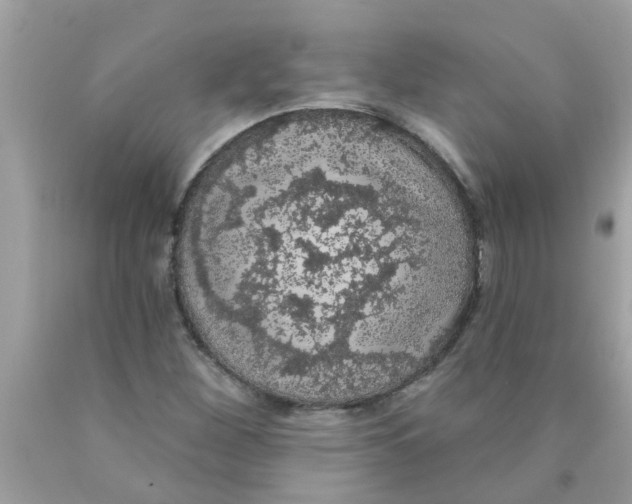 X0000089881260200707262203