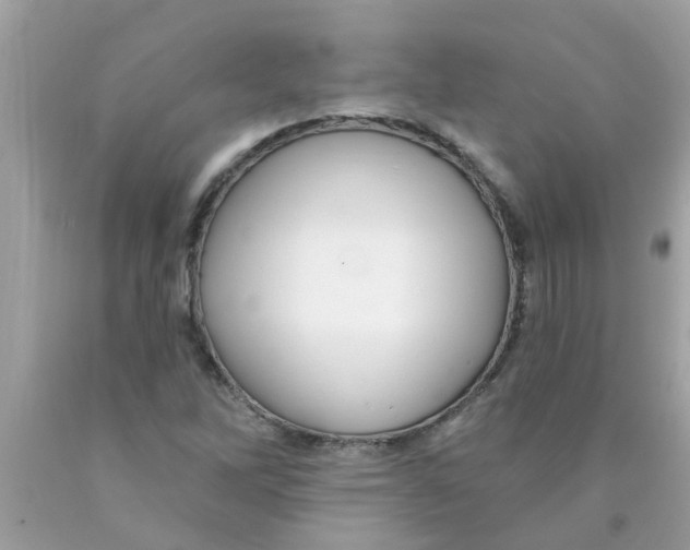 X0000089881262200707262203