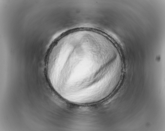 X0000089881264200707262203