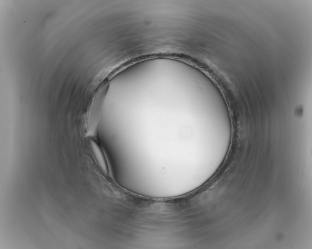 X0000089881265200707262203