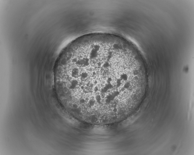 X0000089881267200707262202