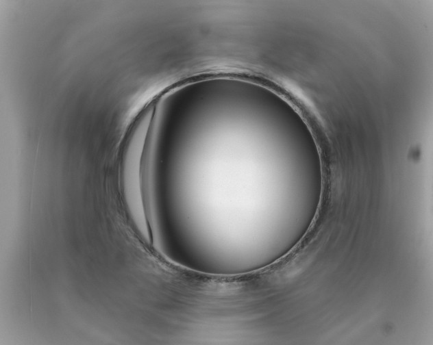 X0000089881269200707262202