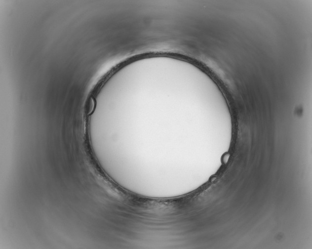 X0000089881270200707262202