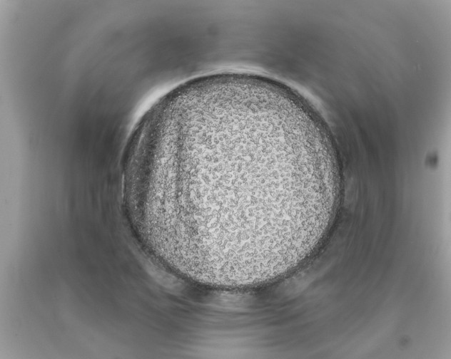 X0000089881271200707262202