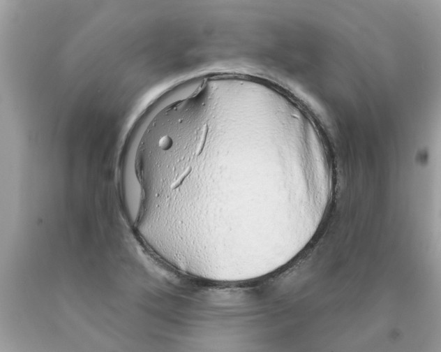 X0000089881272200707262202