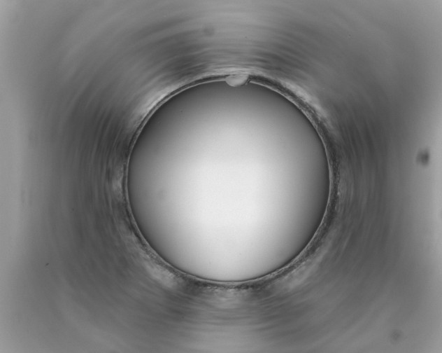 X0000089881273200707262202