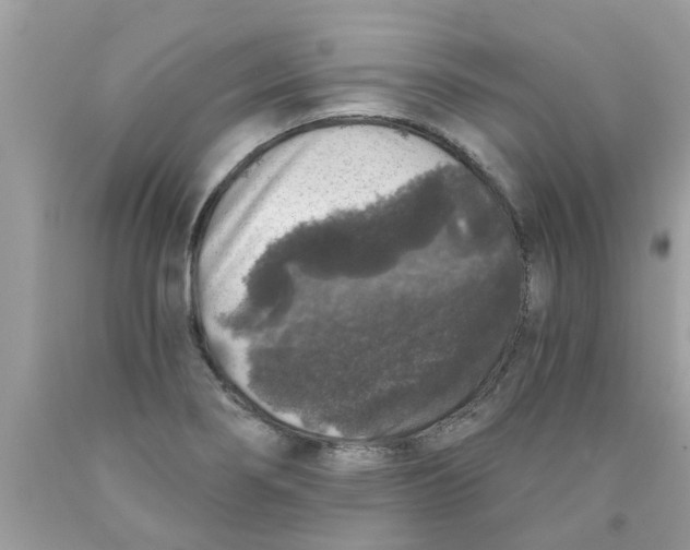 X0000089881274200707262202