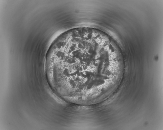 X0000089881275200707262202