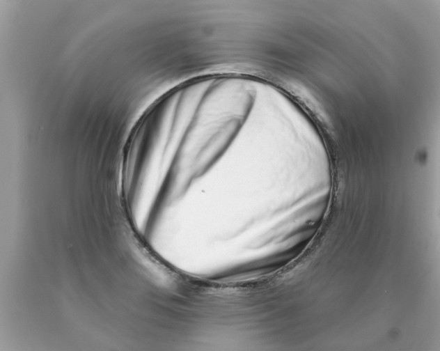 X0000089881276200707262202