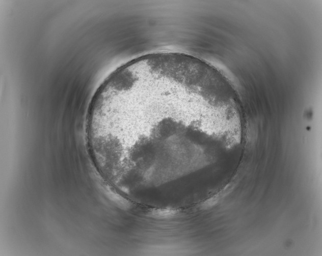 X0000089881278200707262202