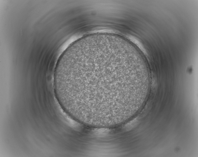 X0000089881282200707262202