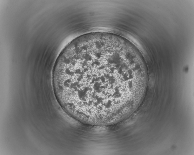 X0000089881283200707262202