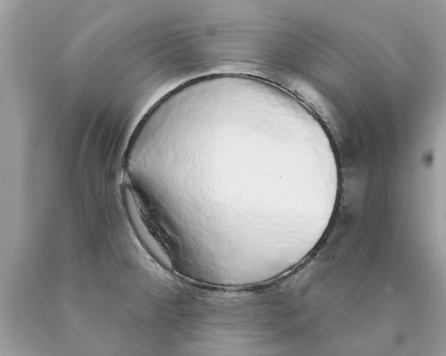 X0000089881284200707262202