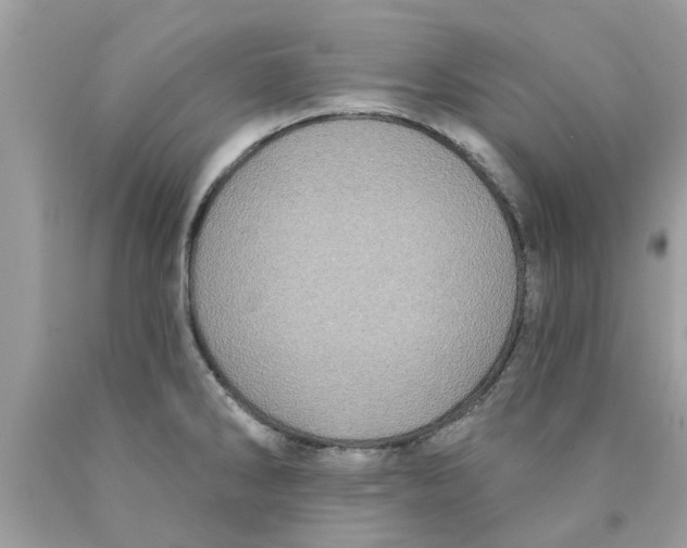 X0000089881286200707262202