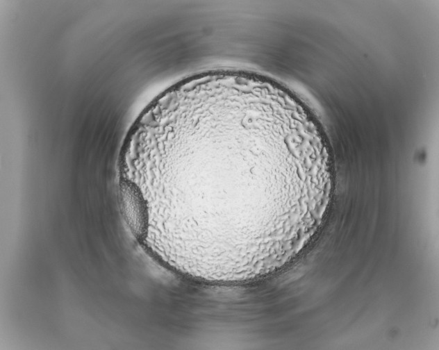 X0000089881287200707262202