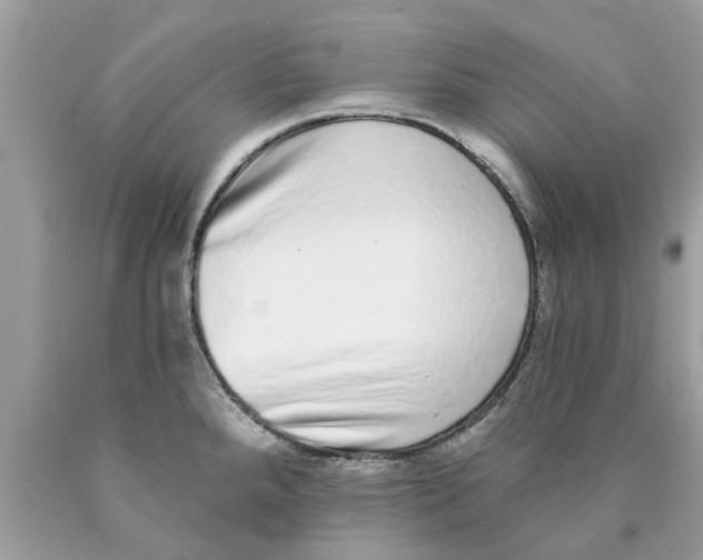 X0000089881288200707262202