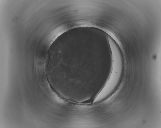 X0000089881289200707262202