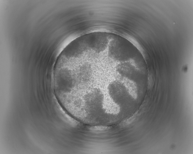 X0000089881290200707262202