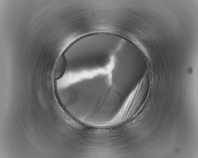 X0000089881291200707262202