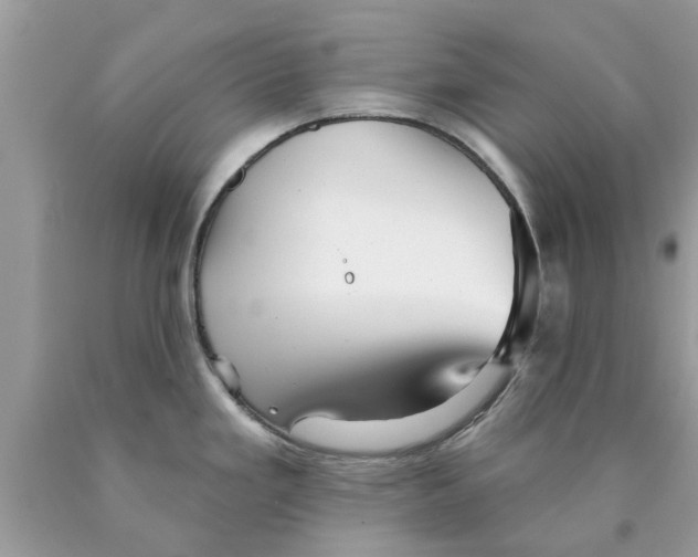 X0000089881293200707262202