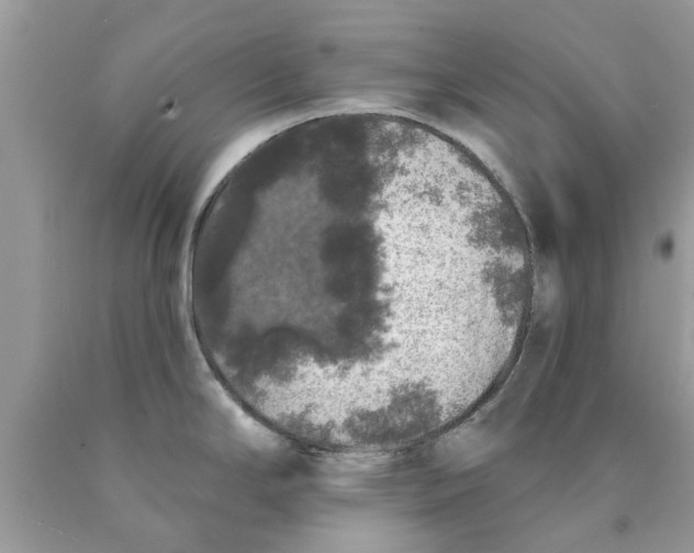 X0000089881294200707262202