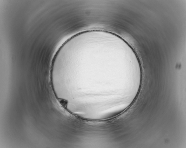 X0000089881296200707262202