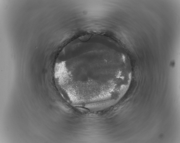 X0000089881297200707262202