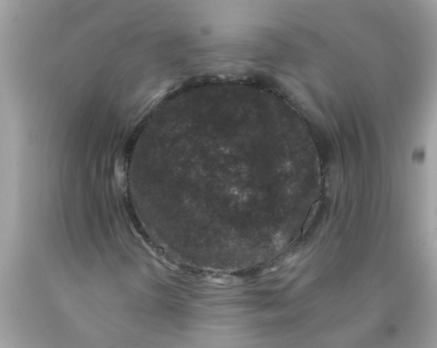 X0000089881298200707262202