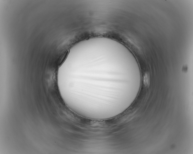 X0000089881299200707262202