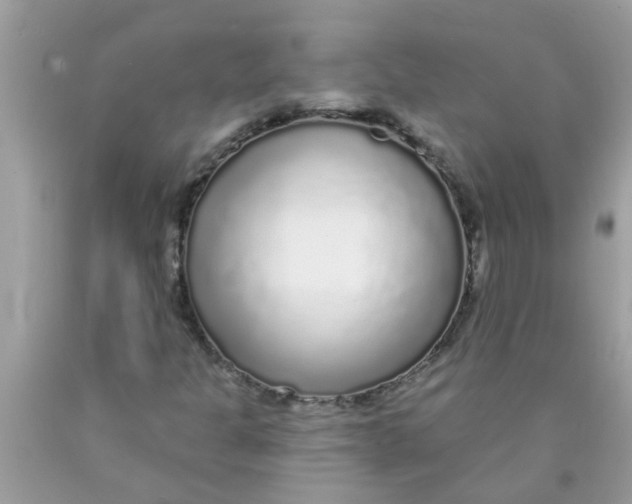 X0000089881301200707262202