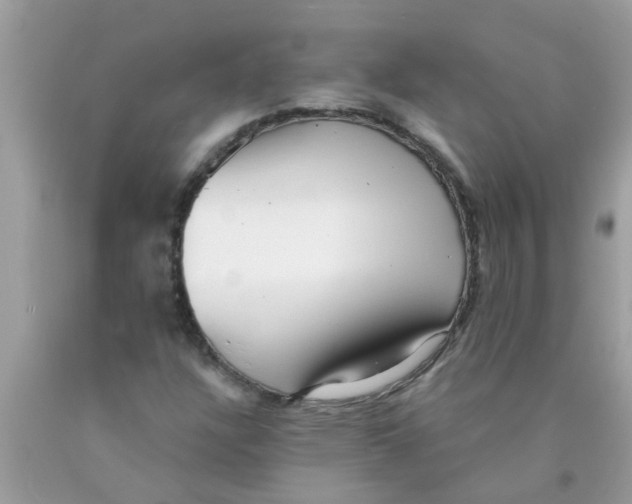 X0000089881304200707262202