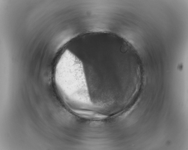 X0000089881306200707262202