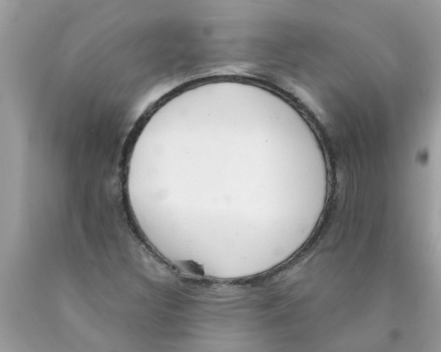 X0000089881308200707262202